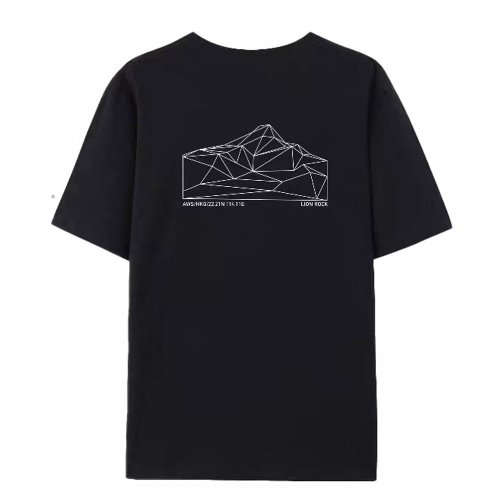 Another Workshop Tee 26/27: The Lion Rock