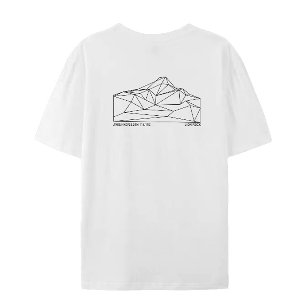 Another Workshop Tee 26/27: The Lion Rock